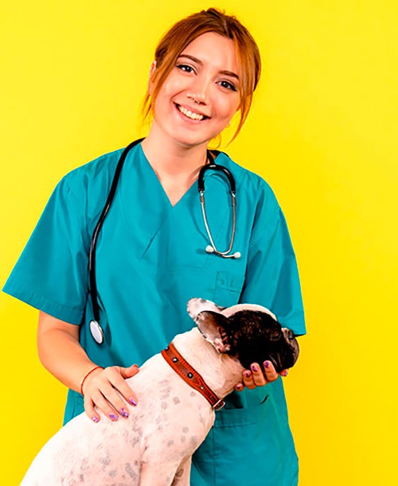 Eider Sarobe Veterinarios en Zarauz