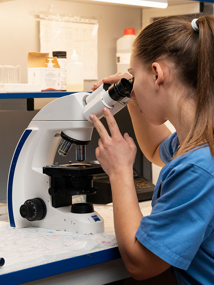 Laboratorio veterinario propio con microscopio de inteligencia artificial en Zarautz