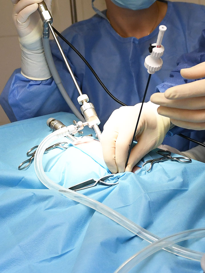 Endoscopia y Cirugía de Mínima Invasión Clínica veterinaria Zaunka en Zarautz