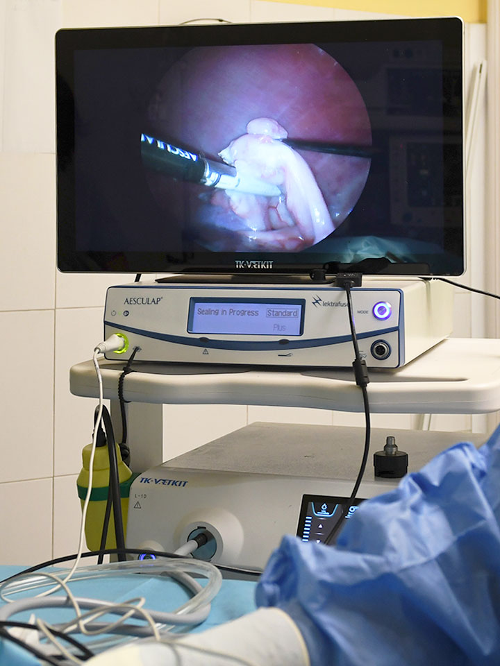Endoscopia y Cirugía de Mínima Invasión Clínica veterinaria Zaunka en Zarautz