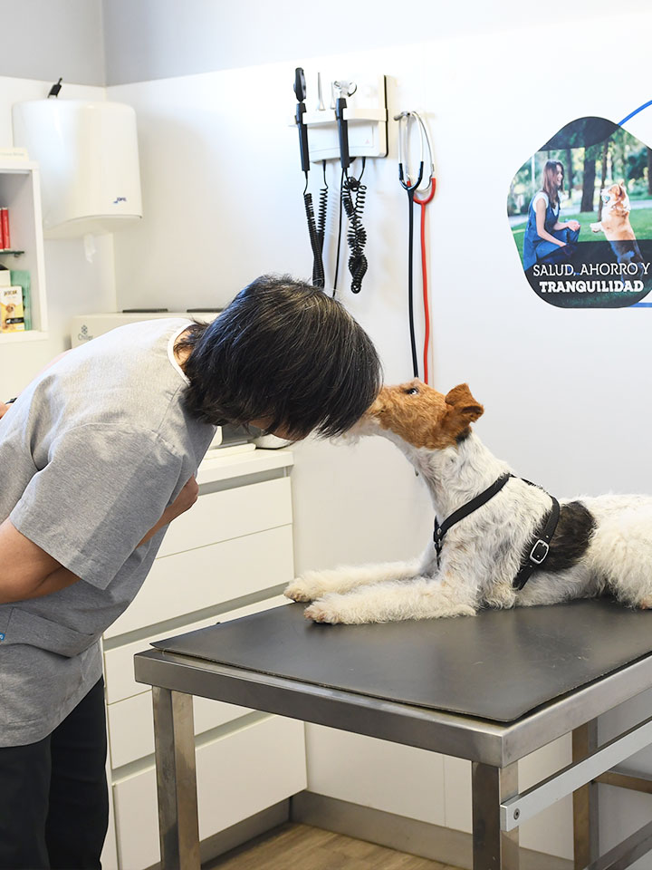 Etología Clínica veterinaria Zaunka en Zarautz