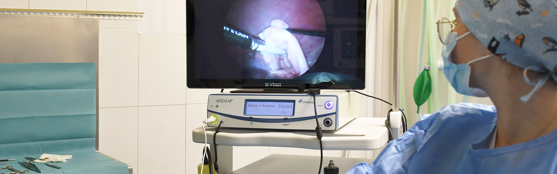 Veterinary endoscopy and surgery in Gipuzkoa