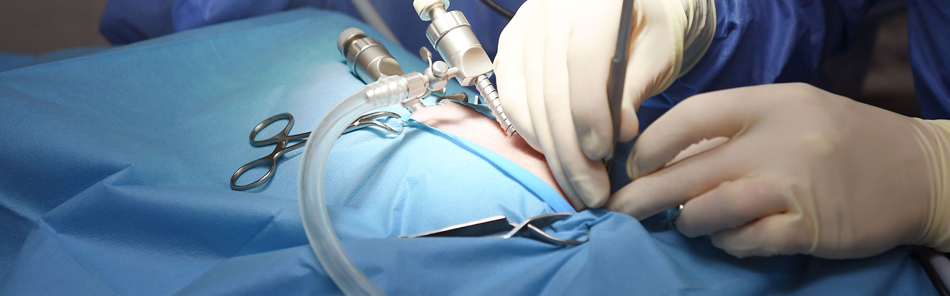 The best veterinary clinic in Gipuzkoa: oncology, endoscopy and pet health plan