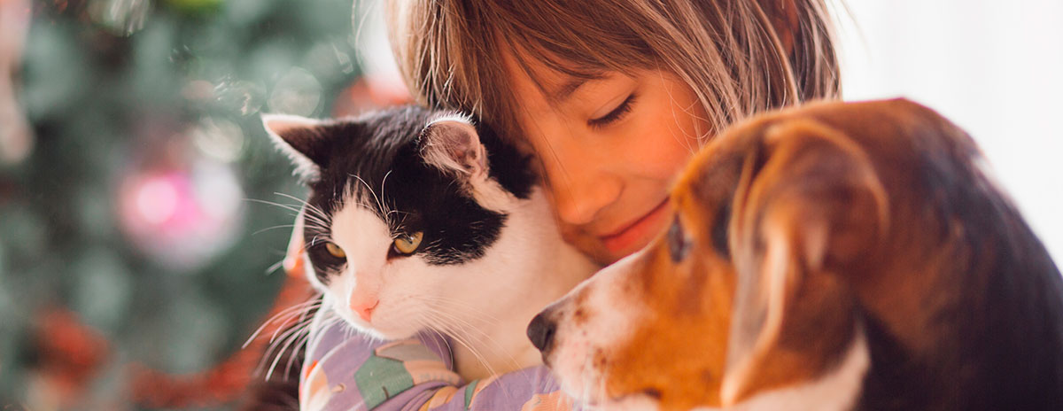 Plan Amigo, seguro de salud para mascotas
