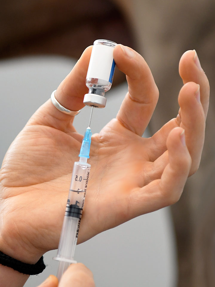 Ekografia bidezko diagnostikoa txakur eta katuentzat Zarauzko Zaunka albaitaritza-klinikan