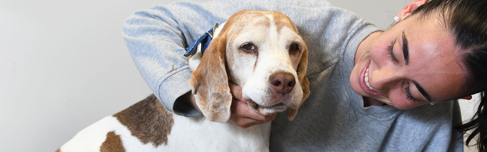Clínica Veterinaria Zaunka en Zarautz